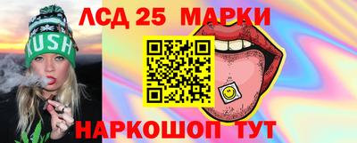 PSILOCYBIN Северобайкальск
