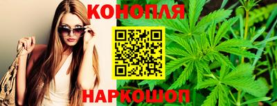 PSILOCYBIN Северобайкальск