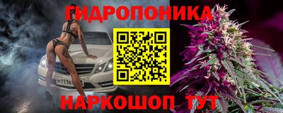 PSILOCYBIN Северобайкальск