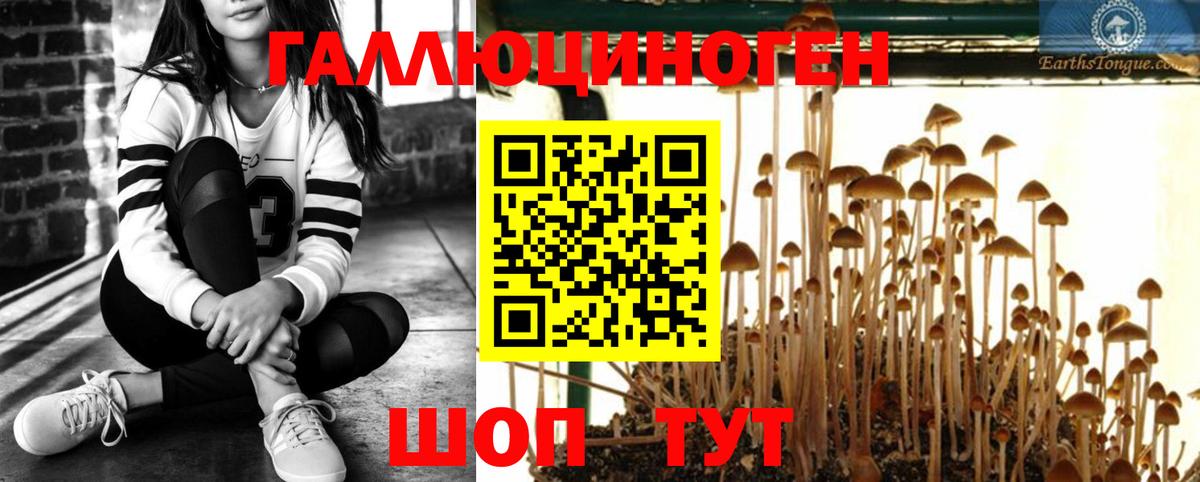 Псилоцибиновые грибы Cubensis Новочеркасск